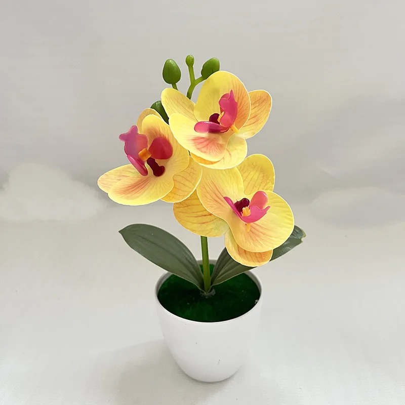 1Pcs 20CM Simulation Plants Po - Outdoor Furniture Cafe 评论和价格